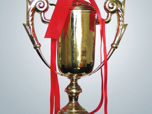 1998年獲江蘇省工程質量揚子(zǐ)杯獎