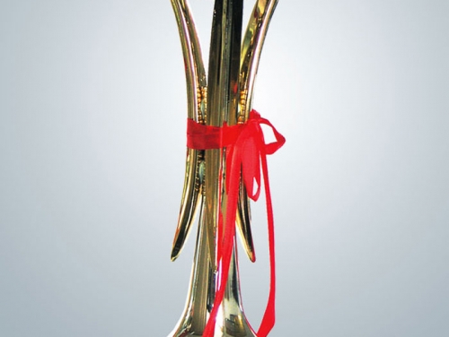 泰州市梅蘭杯獎